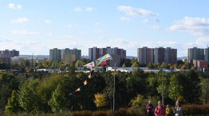DSC_7187.JPG