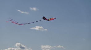 DSC_7190.JPG