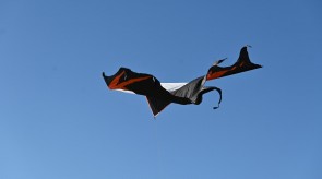 DSC_7208.JPG