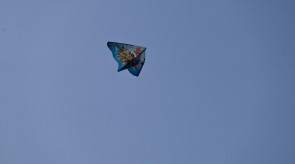 DSC_7209.JPG