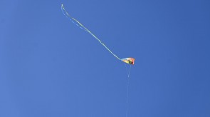 DSC_7210.JPG