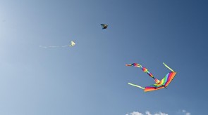 DSC_7217.JPG