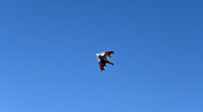 DSC_7219.JPG