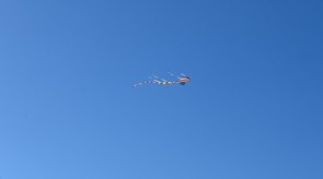 DSC_7220.JPG