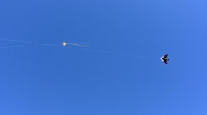 DSC_7221.JPG