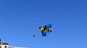 DSC_7224.JPG