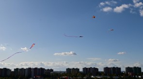 DSC_7232.JPG