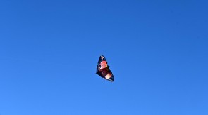 DSC_7235.JPG