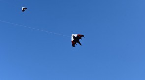 DSC_7239.JPG