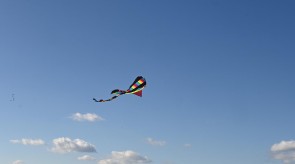DSC_7240.JPG