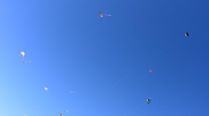 DSC_7241.JPG