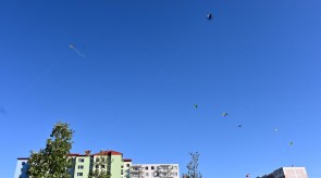 DSC_7250.JPG