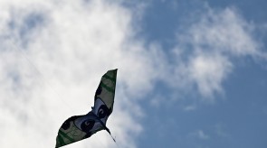 DSC_7280.JPG