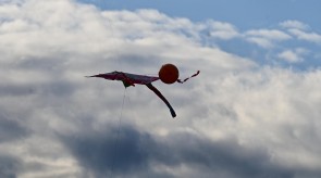 DSC_7292.JPG