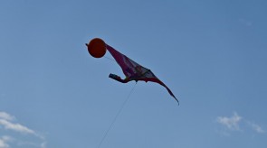 DSC_7293.JPG